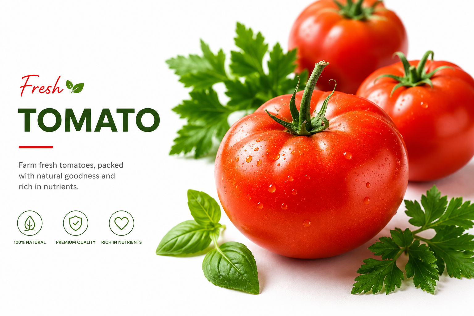 Tomato