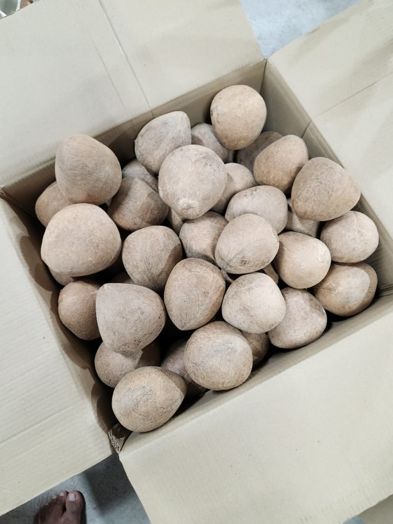 Ball Copra