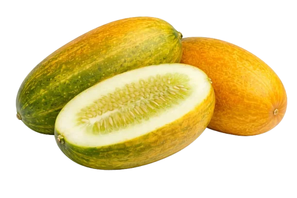 Yellow Cucumber